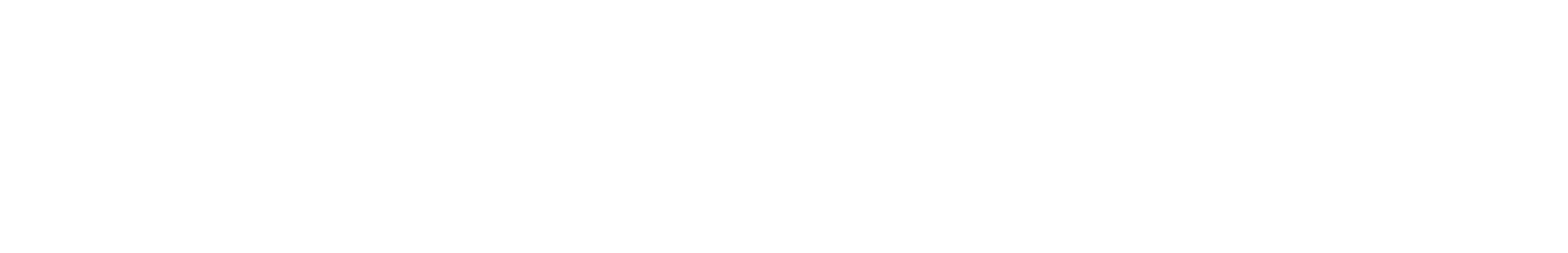 SKILLEVERX
